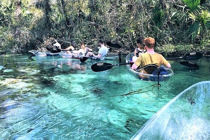 Rock Springs 2-Hour Glass Bottom Guided Kayak Eco Tour - Wildlife Watching That Still Feels Personal (Even When the River Gets Busy)