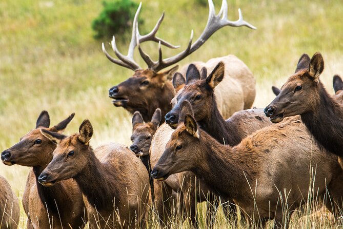 Rocky Mountain Escape - Key takeaways before you book
