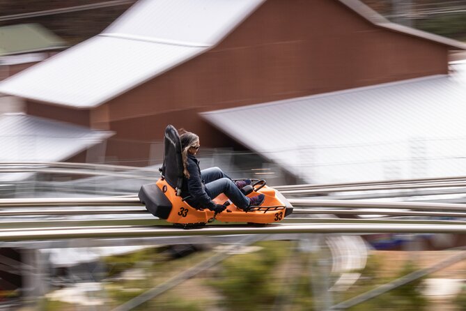 Rocky Top Mountain Coaster Admission Ticket in Pigeon Forge - Why This Pigeon Forge Mountain Coaster Feels Different Than the Usual Thrills
