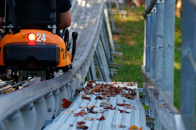Rocky Top Mountain Coaster Admission Ticket in Pigeon Forge - Day vs Night at Rocky Top: Why the Same Track Feels Like a New Ride