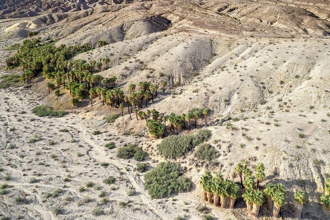 San Andreas Fault Jeep Tour from Palm Desert - San Andreas Fault Jeep Tour Near Palm Springs: What You’re Really Seeing