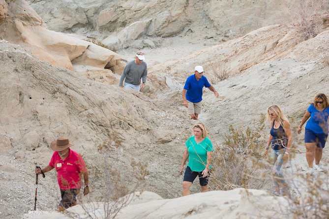 San Andreas Fault Jeep Tour from Palm Desert - Price and Value: Is $175 for 3 Hours Worth It?