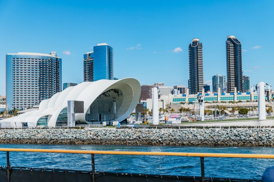 San Diego: Harbor Cruise - Wildlife moments: sea lions, birds, and how to catch them