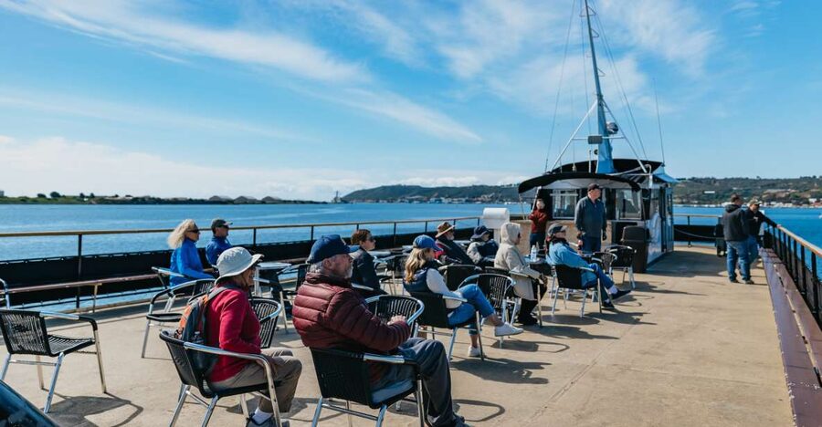 San Diego: Harbor Cruise - What you’ll actually see on the bay, Coronado Bridge to marine life