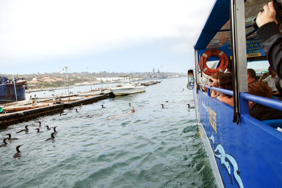 San Diego: SEAL City Tour by Amphibious Bus - Should You Book SEAL City Tour by Amphibious Bus?