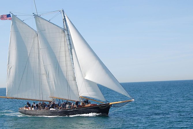 San Diego Whale Watching Cruise - Sailing out: how the crew helps you spot gray whales and dolphins