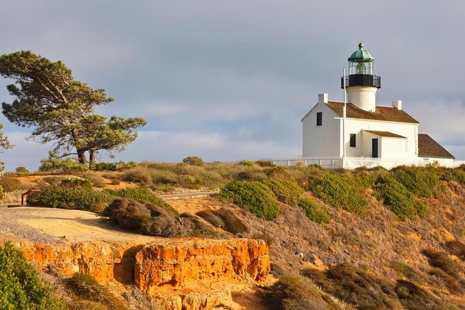 San Diego Whale Watching Cruise - Price and what you truly get for $85