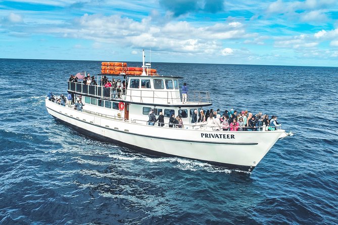 San Diego Whale Watching & Dolphin Cruise - The shoreline stops that turn your “ride out” into real sightseeing
