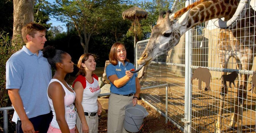 San Diego Zoo: 1-Day Admission Ticket - Key points that make this ticket worth your time