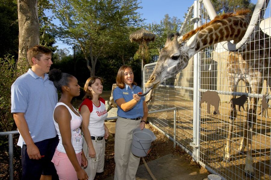 San Diego Zoo: 1-Day Admission Ticket - Entering the San Diego Zoo without losing half your morning