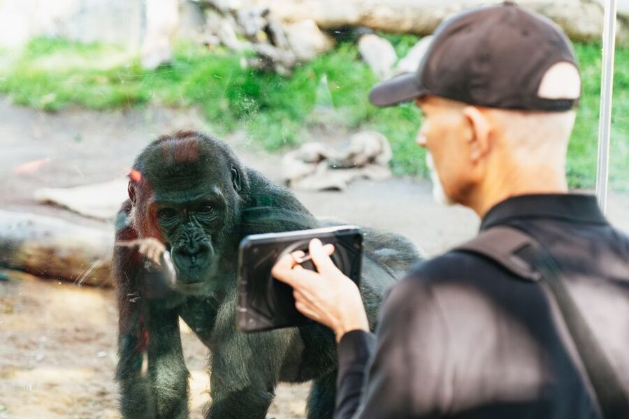 San Diego Zoo: 1-Day Admission Ticket - Shows, the sea lion moment, and hands-on family fun