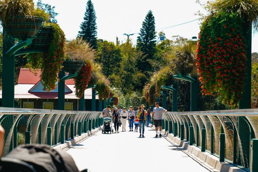 San Diego Zoo: 1-Day Admission Ticket - Hot-day planning in Southern California: shade, water, and pacing