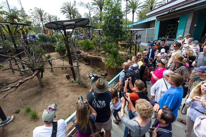 San Diego Zoo 1-Day Pass: Any Day Ticket - Why the San Diego Zoo Feels Different from Other Zoos