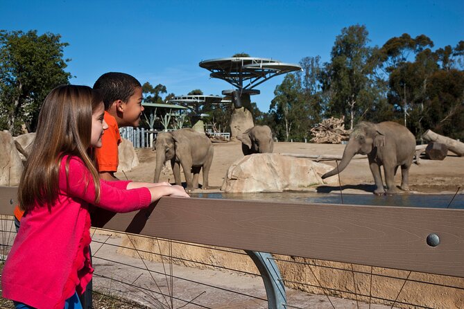 San Diego Zoo 1-Day Pass: Any Day Ticket - Entering the Zoo: Direct Scan, No Will Call, Near Balboa Park