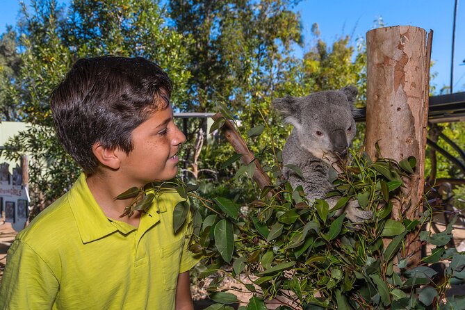 San Diego Zoo 1-Day Pass: Any Day Ticket - Zoo Keeper Talks and the Animal Nursery: Where Learning Makes the Day