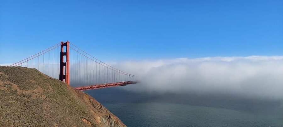 San Francisco: Alcatraz Tour with Muir Woods and Sausalito - Sausalito in About an Hour: Houseboats and Waterfront Vibes