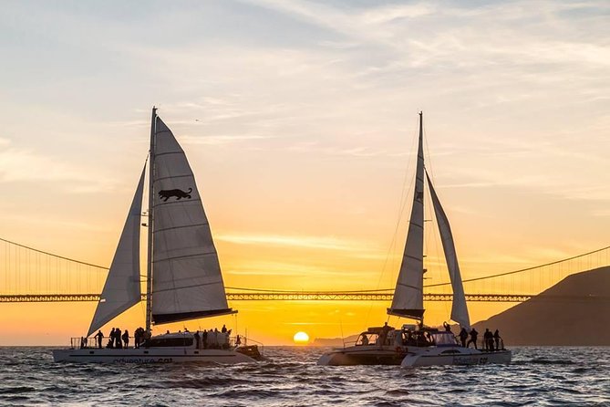 San Francisco Bay Sunset Catamaran Cruise - The early part of the cruise: sea life and skyline geometry