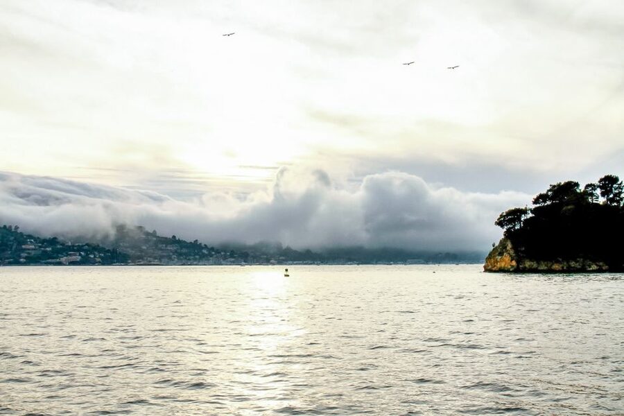 San Francisco: California Sunset Cruise (2-hours) - Sausalito: a classic coastal stop with small-town charm