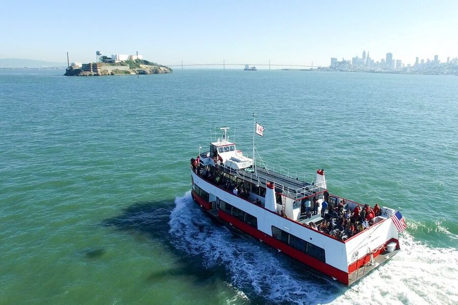 San Francisco: Golden Gate Bay Cruise - Wildlife moments: sea lions, pelicans, dolphins, and whales
