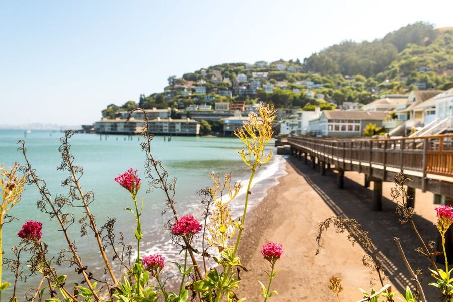 San Francisco: Muir Woods and Sausalito Half-Day Trip - Sausalito by Mini-Bus: The Mediterranean-Style Town Pitch