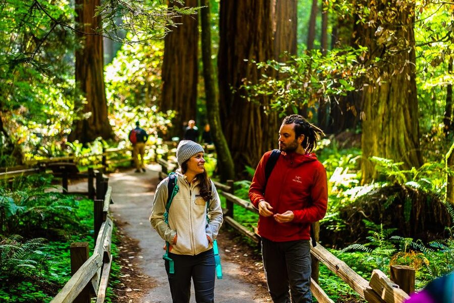 San Francisco: Muir Woods and Sausalito Half-Day Trip - Downtown Sausalito Timing: Why 45 Minutes Works, and When It Does Not
