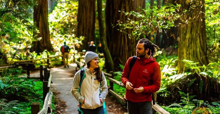 San Francisco: Muir Woods and Sausalito Half-Day Trip - Golden Gate Bridge Welcome Center Stop, Plus the Fog Factor