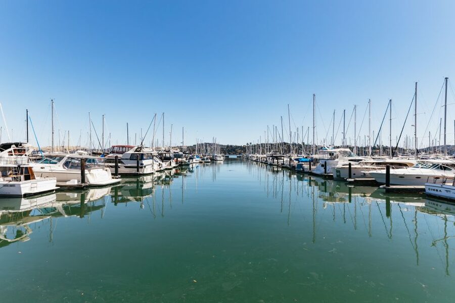 San Francisco: Muir Woods and Sausalito Small-Group Tour - Golden Gate Bridge photo stop: what to do in 10 minutes
