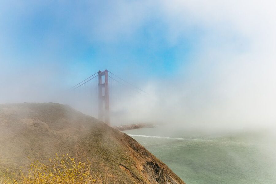 San Francisco: Muir Woods and Sausalito Small-Group Tour - The Sausalito hour: art, cafes, and bay views without stress