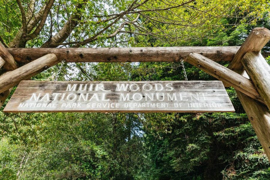 San Francisco: Muir Woods and Sausalito Small-Group Tour - Making the return work for your day in San Francisco