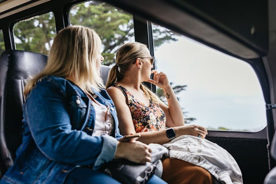 San Francisco: Muir Woods, Napa & Sonoma Valley Wine Tour - Muir Woods National Monument: Sequoia Redwoods and a flat, memorable walk