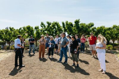 Muir Woods, Napa & Sonoma Valley Wine Tour