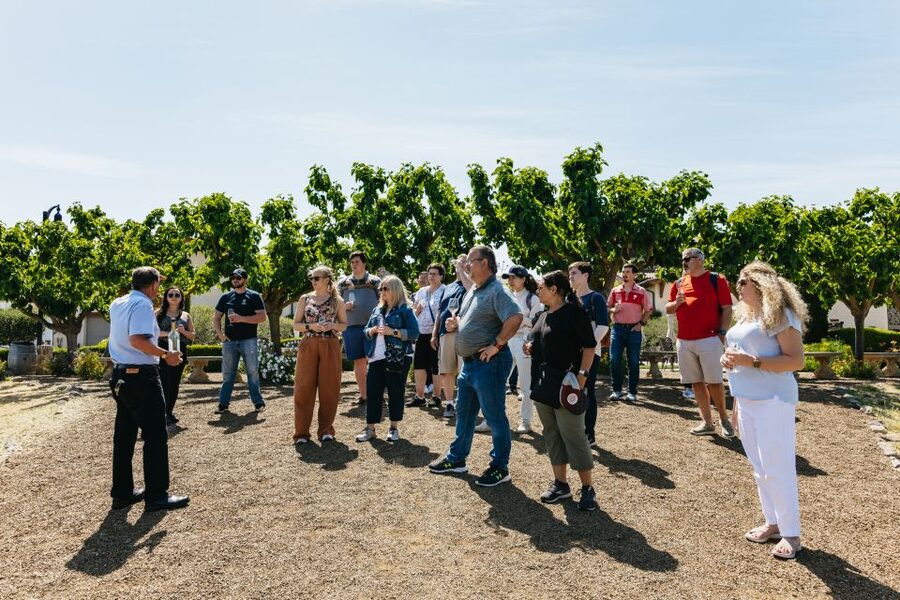 San Francisco: Muir Woods, Napa & Sonoma Valley Wine Tour - Pickup, bus comfort, and why the schedule feels the way it does