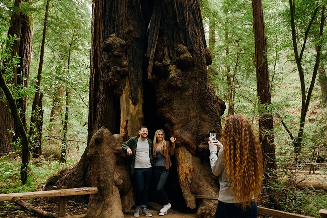 San Francisco, Muir Woods, Sausalito and optional Alcatraz tour - Muir Woods: The Main Event (And How to Use Your Hour and a Half)