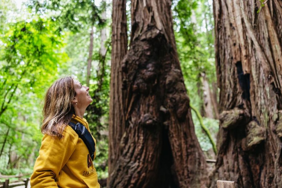 San Francisco: Muir Woods & Sausalito Tour with Ferry Option - Why Muir Woods and Sausalito Makes a Great Half-Day Escape