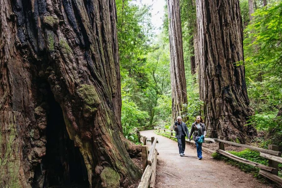 San Francisco: Muir Woods & Sausalito Tour with Ferry Option - Muir Woods Stop: 90 Minutes Among the Giant Redwoods