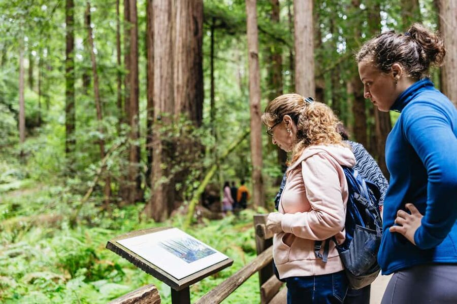 San Francisco: Muir Woods & Sausalito Tour with Ferry Option - Getting There: Gray Line Bus, Pickup Options, and Timing