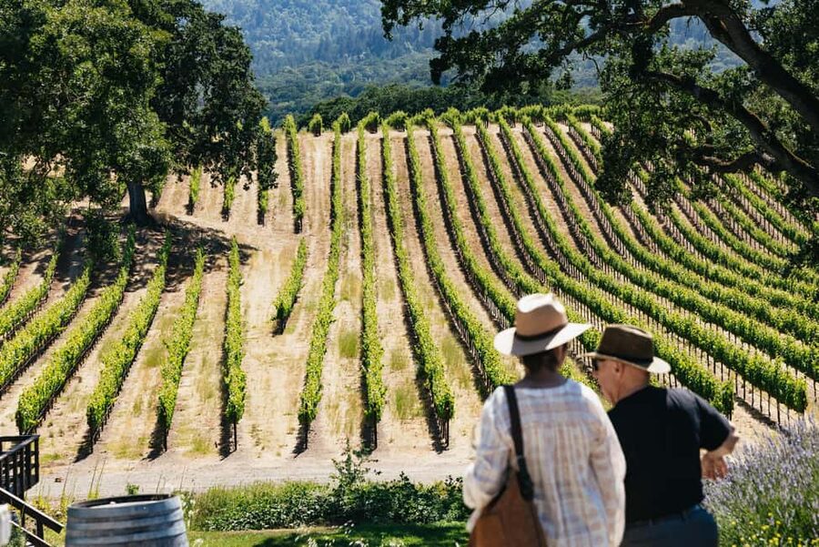 San Francisco: Napa and Sonoma Valley Wine Tour - Key things that make this wine tour worth your attention