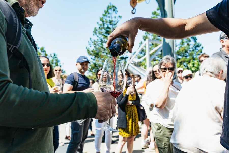 San Francisco: Napa and Sonoma Valley Wine Tour - Why a Napa and Sonoma day trip beats trying to do it solo