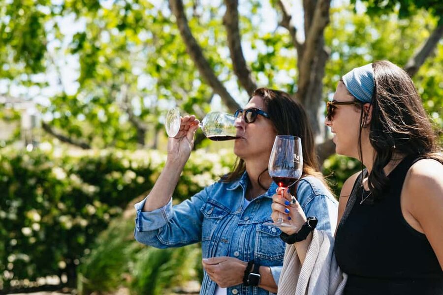 San Francisco: Napa and Sonoma Valley Wine Tour - Winery stops: what the 3 tasting blocks are actually like