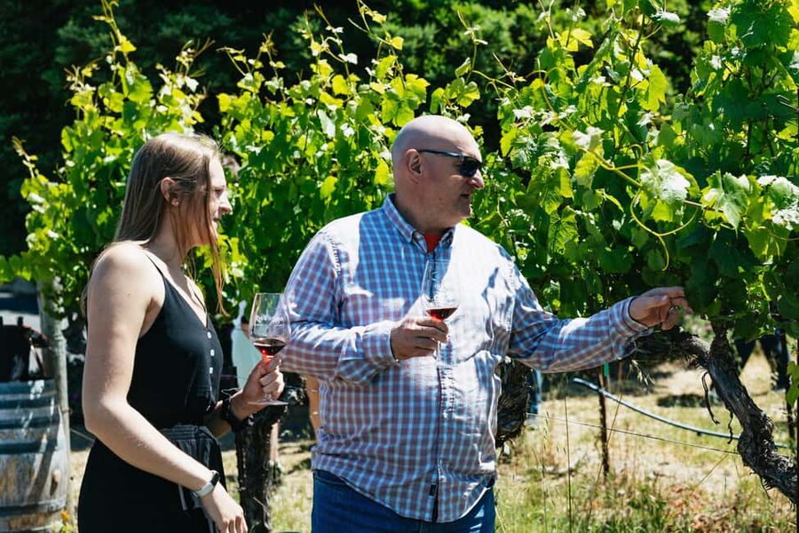 San Francisco: Napa and Sonoma Valley Wine Tour - What to bring and know before you go (so the day stays smooth)