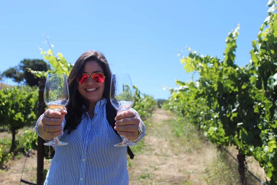 San Francisco: Napa and Sonoma Valley Wine Tour - The all-important first hour: pick-up, coach ride, and a Golden Gate Bridge pause