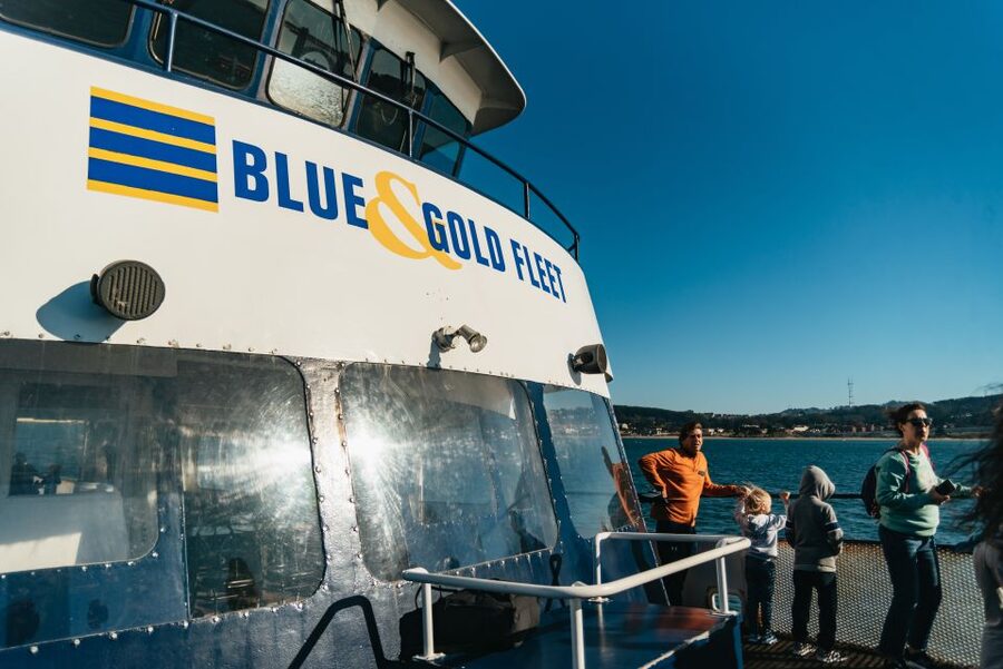 San Francisco: Skip-the-Line 1-Hour Bay Cruise by Boat - Pier 39 Sea Lions to start the story