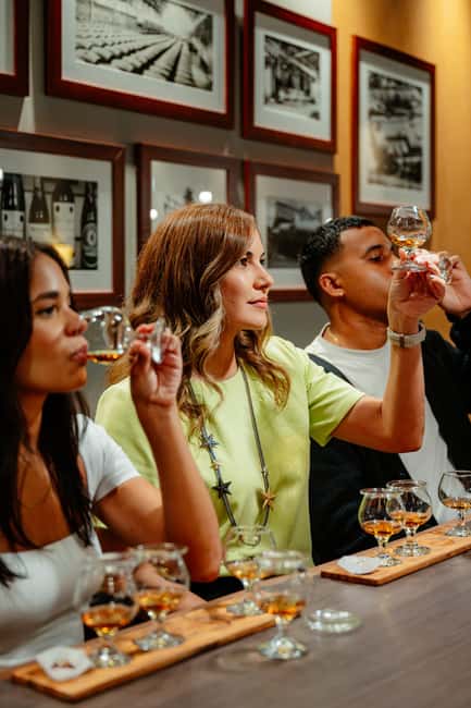 San Juan: Casa Bacardi Distillery Tour - Casa Bacardi Basics: What You Really Get in 45 to 75 Minutes