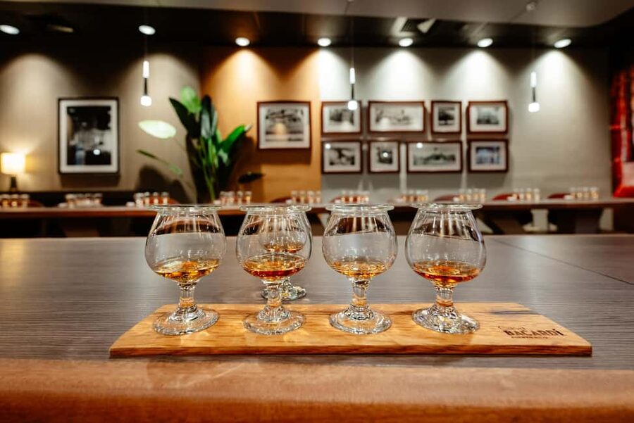 San Juan: Casa Bacardi Distillery Tour - Choosing Your Tour Track: Legacy, Mixology, or Rum Tasting