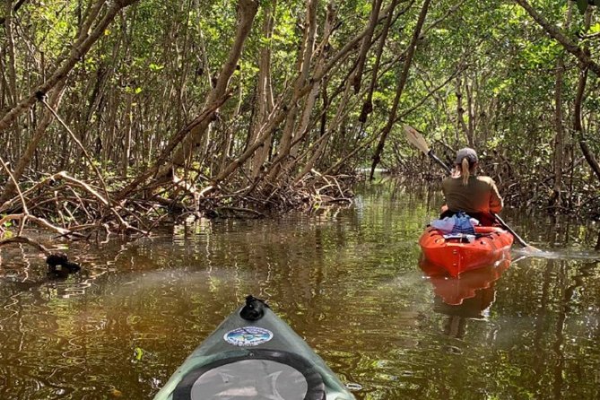 Sarasota Guided Mangrove Tunnel Kayak Tour - Timing, Small Group Size, and Weather Reality