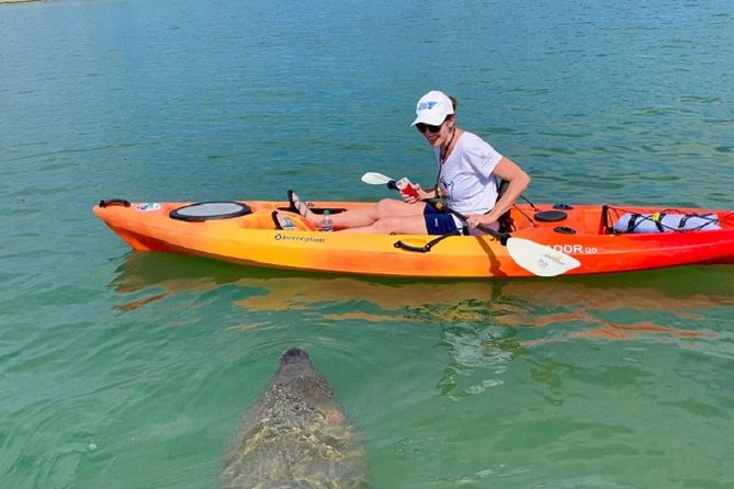 Sarasota Guided Mangrove Tunnel Kayak Tour - Check-In at Sea Life Kayak Adventures, Then Out on Little Sarasota Bay