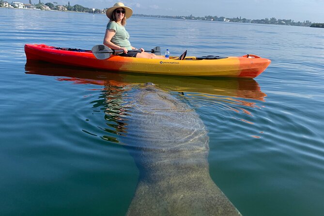 Sarasota Mangrove Tunnel Guided Kayak Adventure - Key points to know before you go