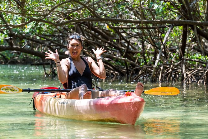 Sarasota Mangrove Tunnel Guided Kayak Adventure - The 2-hour flow: lesson, open water search, then mangrove tunnels