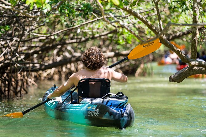 Sarasota Mangrove Tunnel Guided Kayak Adventure - Your paddle lesson: how the tour helps beginners feel in control