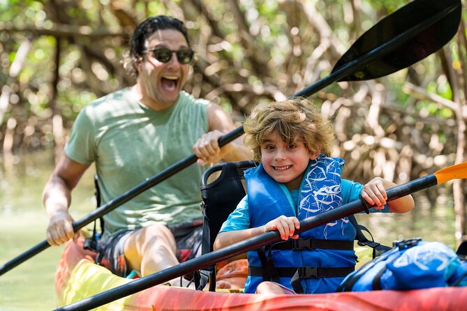 Sarasota Mangrove Tunnel Guided Kayak Adventure - Mangrove tunnels: why the scenery changes how you see wildlife